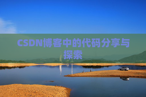 CSDN博客中的代码分享与探索